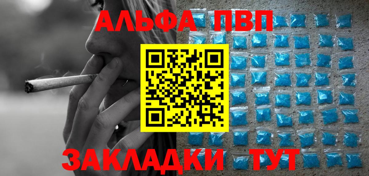 Alfa_PVP СК КРИС Прокопьевск
