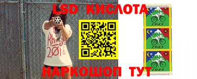 apvp Славгород