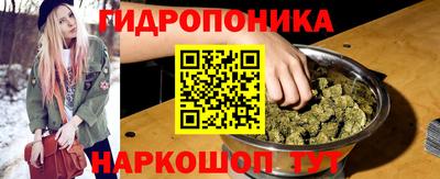 apvp Славгород