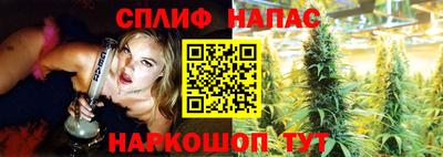 шишки Славянск-на-Кубани