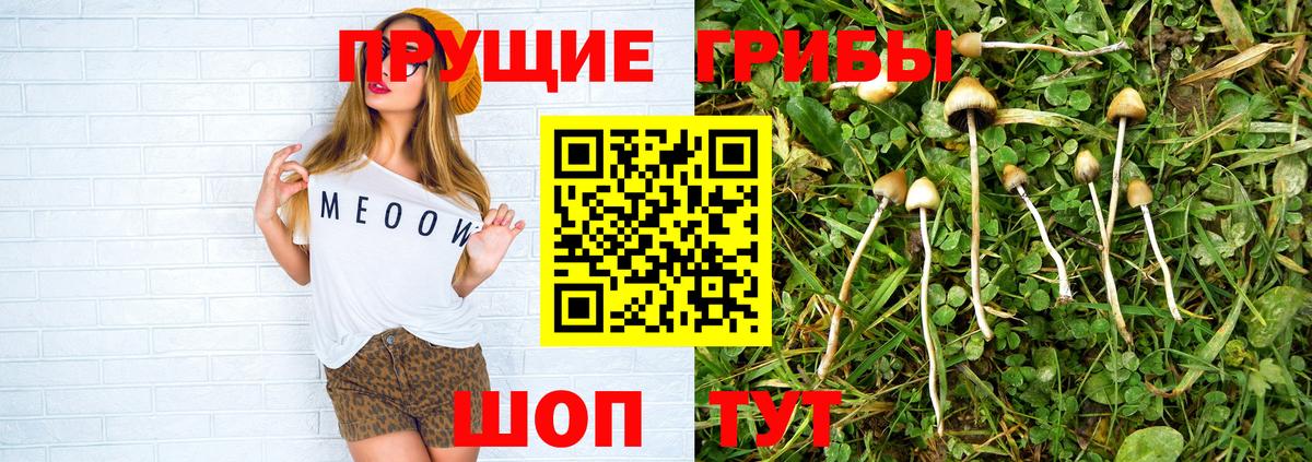 Галлюциногенные грибы MAGIC MUSHROOMS Прокопьевск